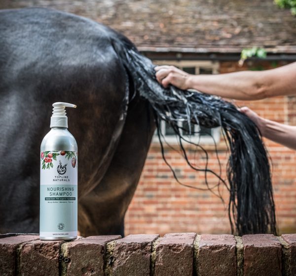 Horses tail being washed with Horse Shampoo Sustainable Eco-friendly